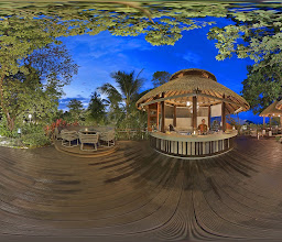 Tree Tops photo