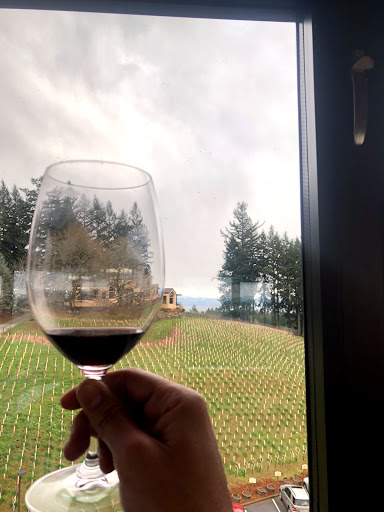 Vineyard «Willamette Valley Vineyards», reviews and photos, 8800 Enchanted Way SE, Turner, OR 97392, USA