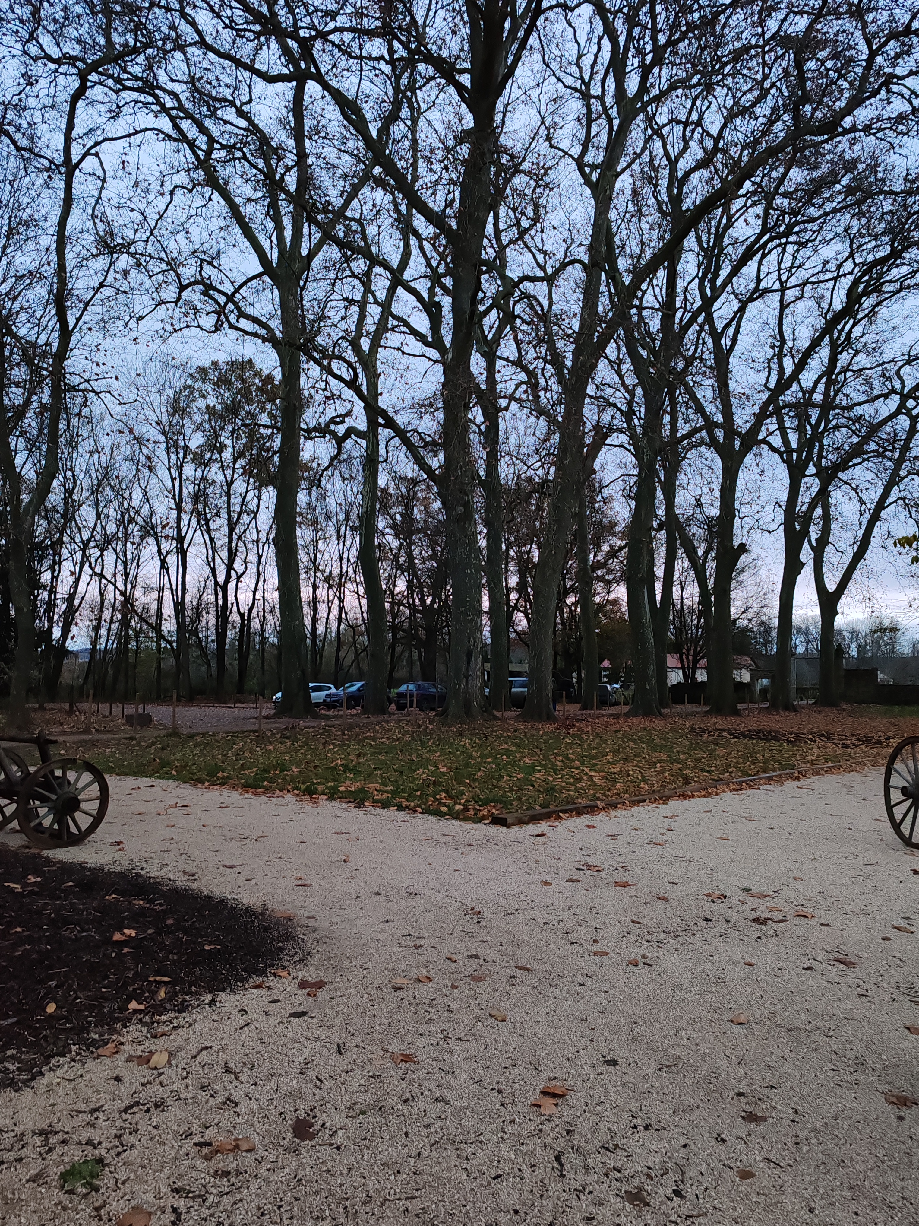 Photo n° 3 de l'avis de MARIUS.U fait le 06/12/2023 à 00:19