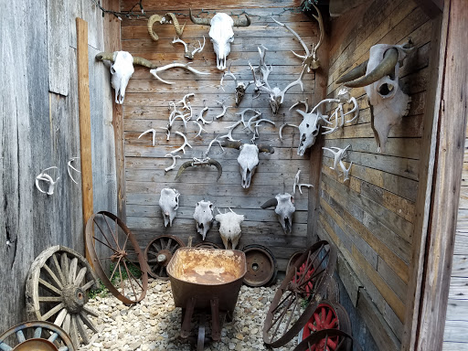 Museum «Museum of American Railroad», reviews and photos, 6455 Page St, Frisco, TX 75034, USA