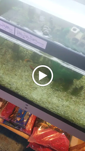 Pet Store «Southside Pet Shop», reviews and photos, 7031 Southside Dr, Louisville, KY 40214, USA