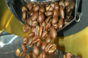 Palarnia kawy Gregorio image