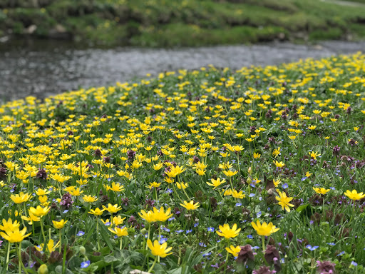 Golf Course «Maple Moor Golf Course», reviews and photos, 1128 North St, White Plains, NY 10605, USA