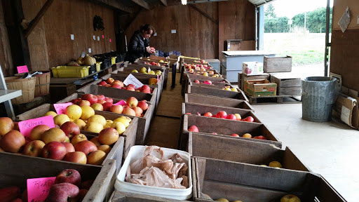 B&P Hitz Fruit Farm (Apples N Produce), 14070 Wilco Hwy NE, Woodburn, OR 97071, USA, 