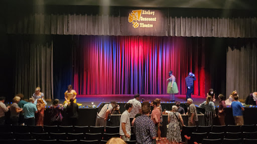 Performing Arts Theater «Richey Suncoast Theatre», reviews and photos, 6237 Grand Blvd, New Port Richey, FL 34652, USA