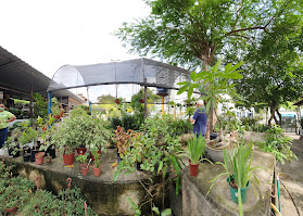Baobá Garden