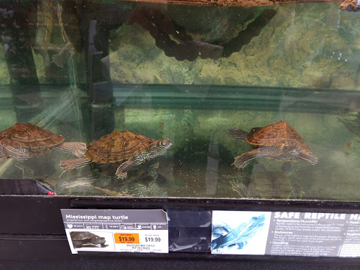 Pet Supply Store «Petco Animal Supplies», reviews and photos, 1694 Boston Rd, Springfield, MA 01129, USA