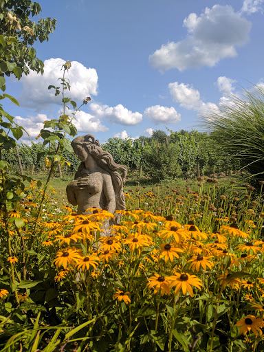 Vineyard «Harpersfield Vineyard», reviews and photos, 6387 OH-307, Geneva, OH 44041, USA