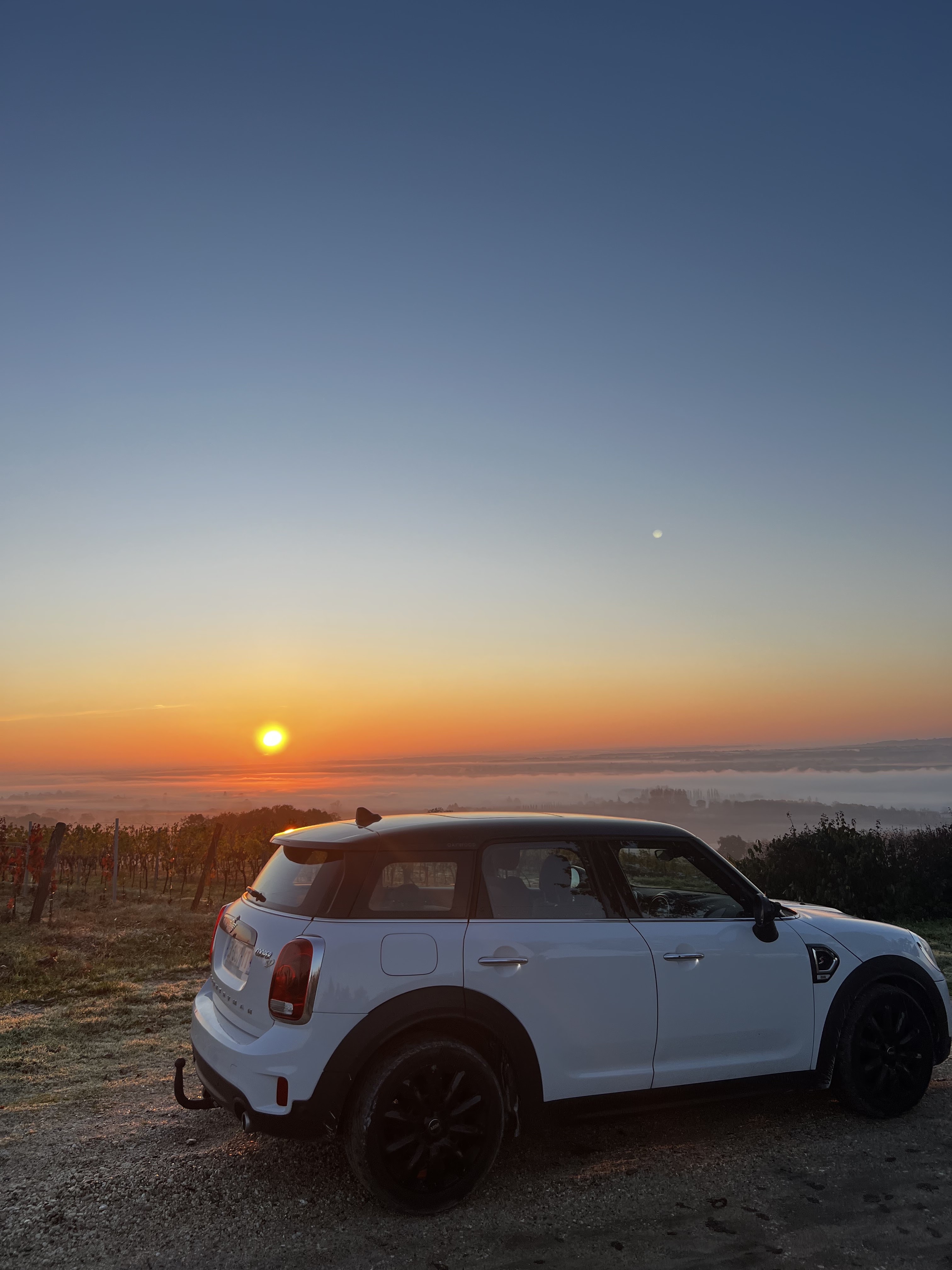 Photo n° 5 de l'avis de Mégane.i fait le 13/10/2022 à 10:55