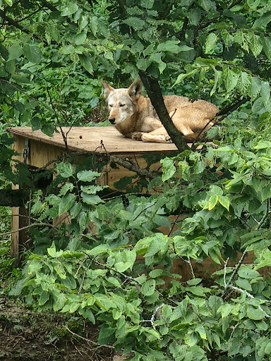 Zoo «Niabi Zoo», reviews and photos, 13010 Niabi Zoo Rd, Coal Valley, IL 61240, USA