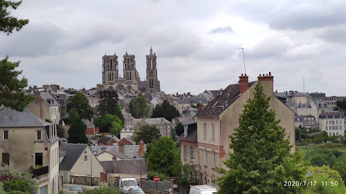 Ibis à Laon