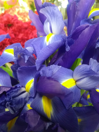 Florist «Flower Patch», reviews and photos, 4370 300 W, Salt Lake City, UT 84107, USA