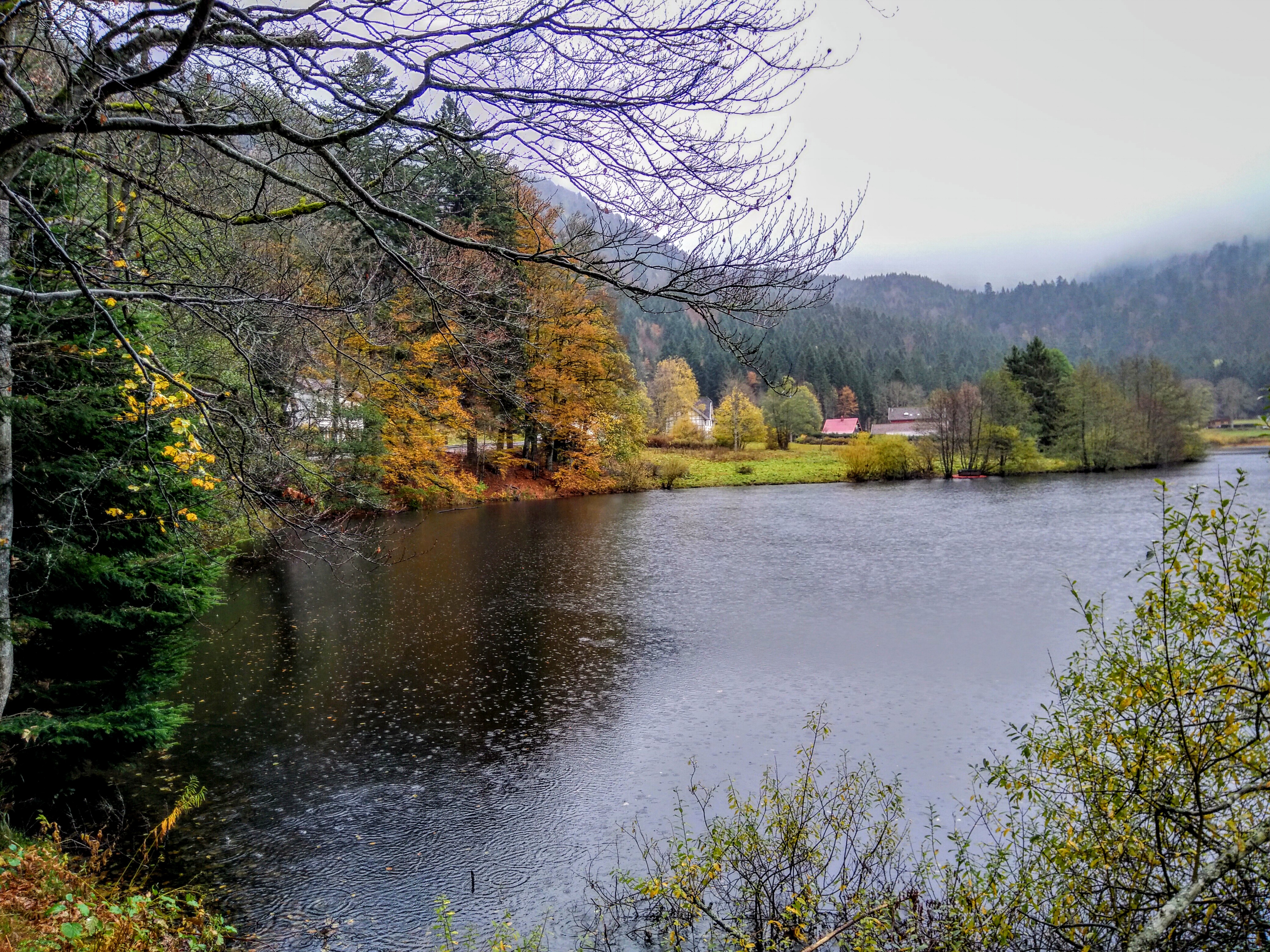 Photo n° 2 de l'avis de Anna.e fait le 02/11/2019 à 06:55