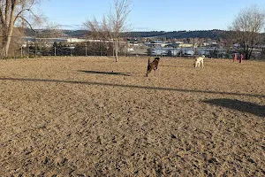 Valley Mission Dog Park image