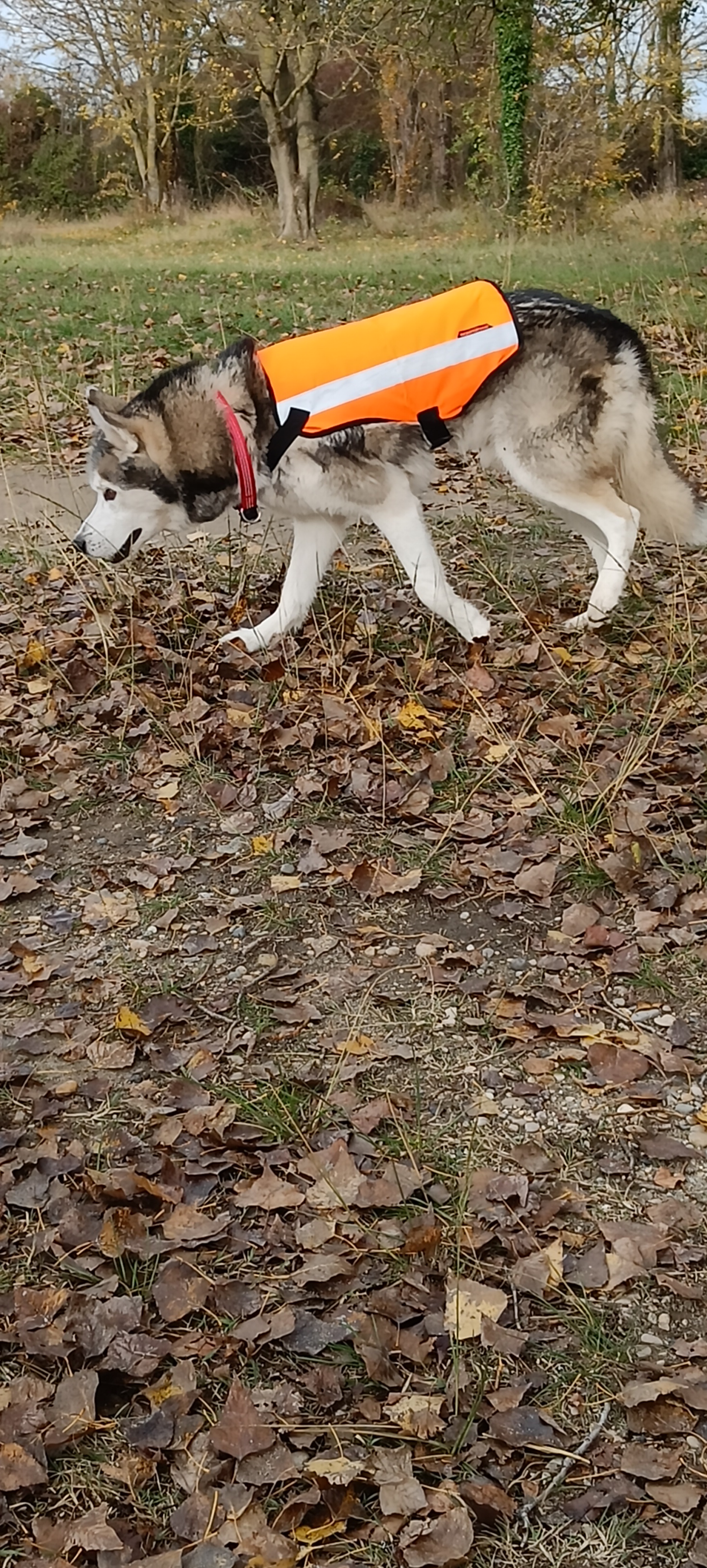 Photo n° 1 de l'avis de Olivier.O fait le 08/12/2022 à 15:03