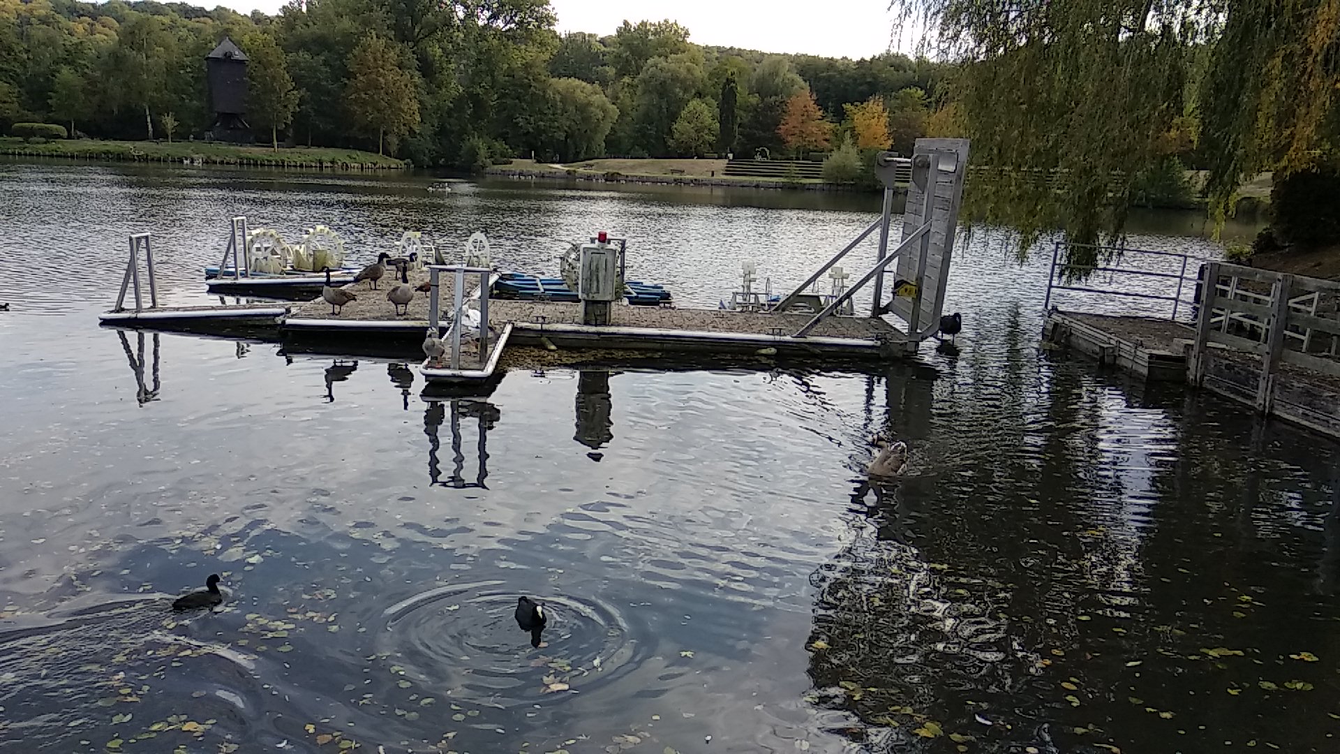 Photo n° 43 de l'avis de Timotée.r fait le 06/10/2018 à 13:14
