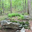Eidolon Nature Preserve