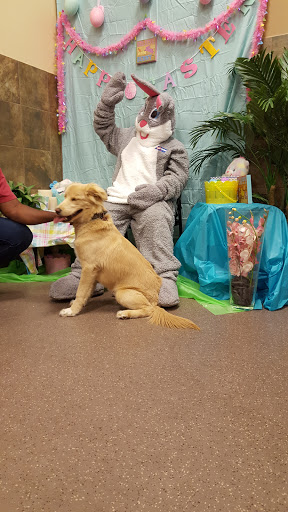 Pet Supply Store «PetSmart», reviews and photos, 4400 Fort Jackson Blvd #300, Columbia, SC 29209, USA