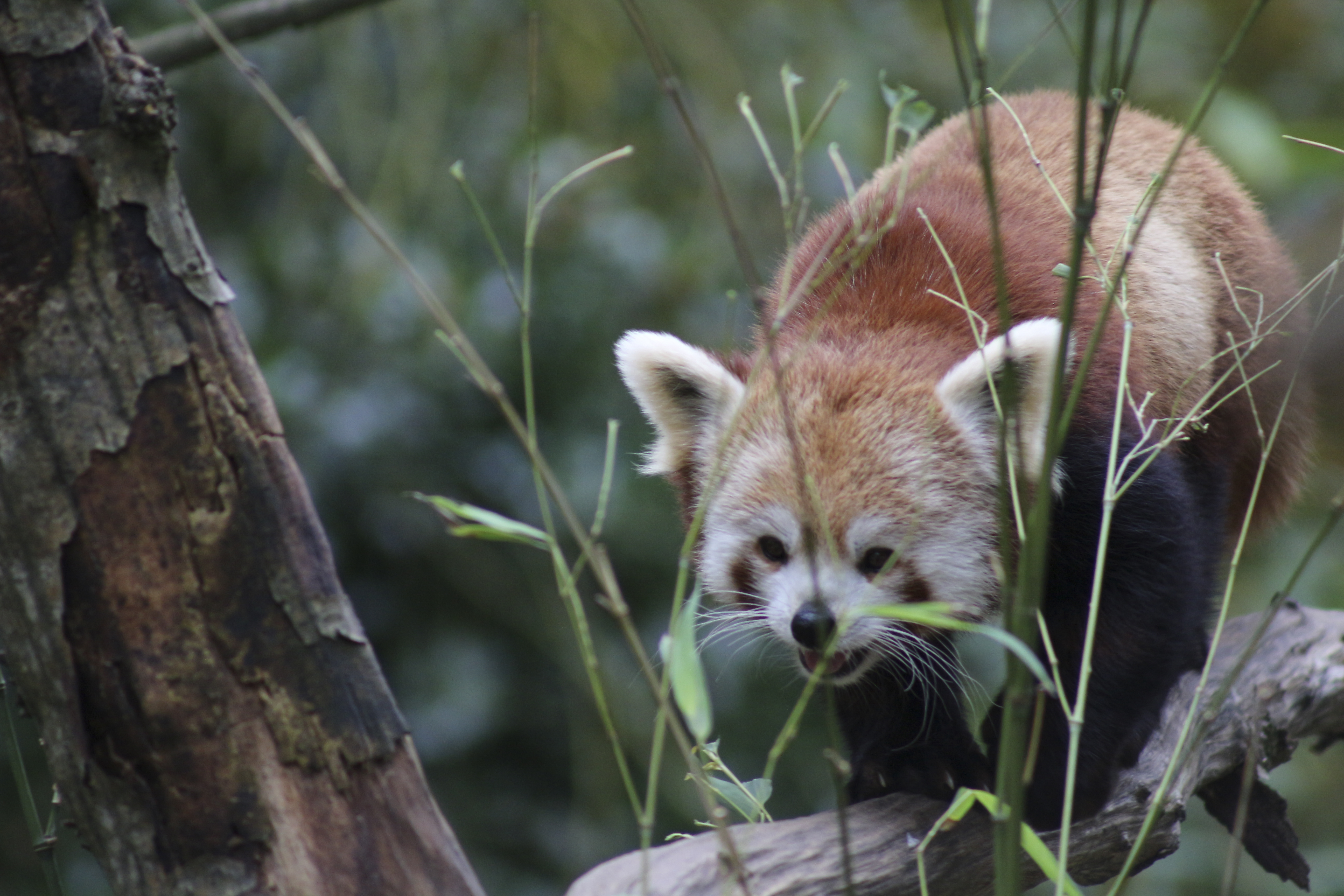 Photo n° 19 de l'avis de Laurent. fait le 05/08/2022 à 12:06