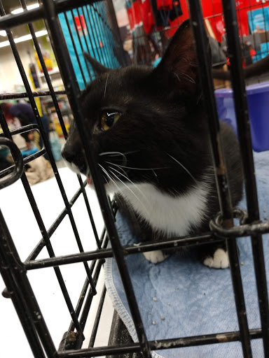 Pet Supply Store «Petco Animal Supplies», reviews and photos, 5925 US-6, Portage, IN 46368, USA