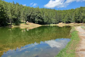 Lago della Ninfa image