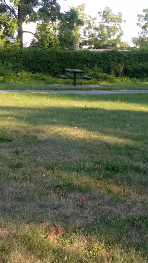 Jamie Farr Park - photo 23