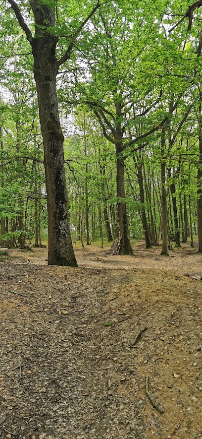 Bois Qi gong Bréançon