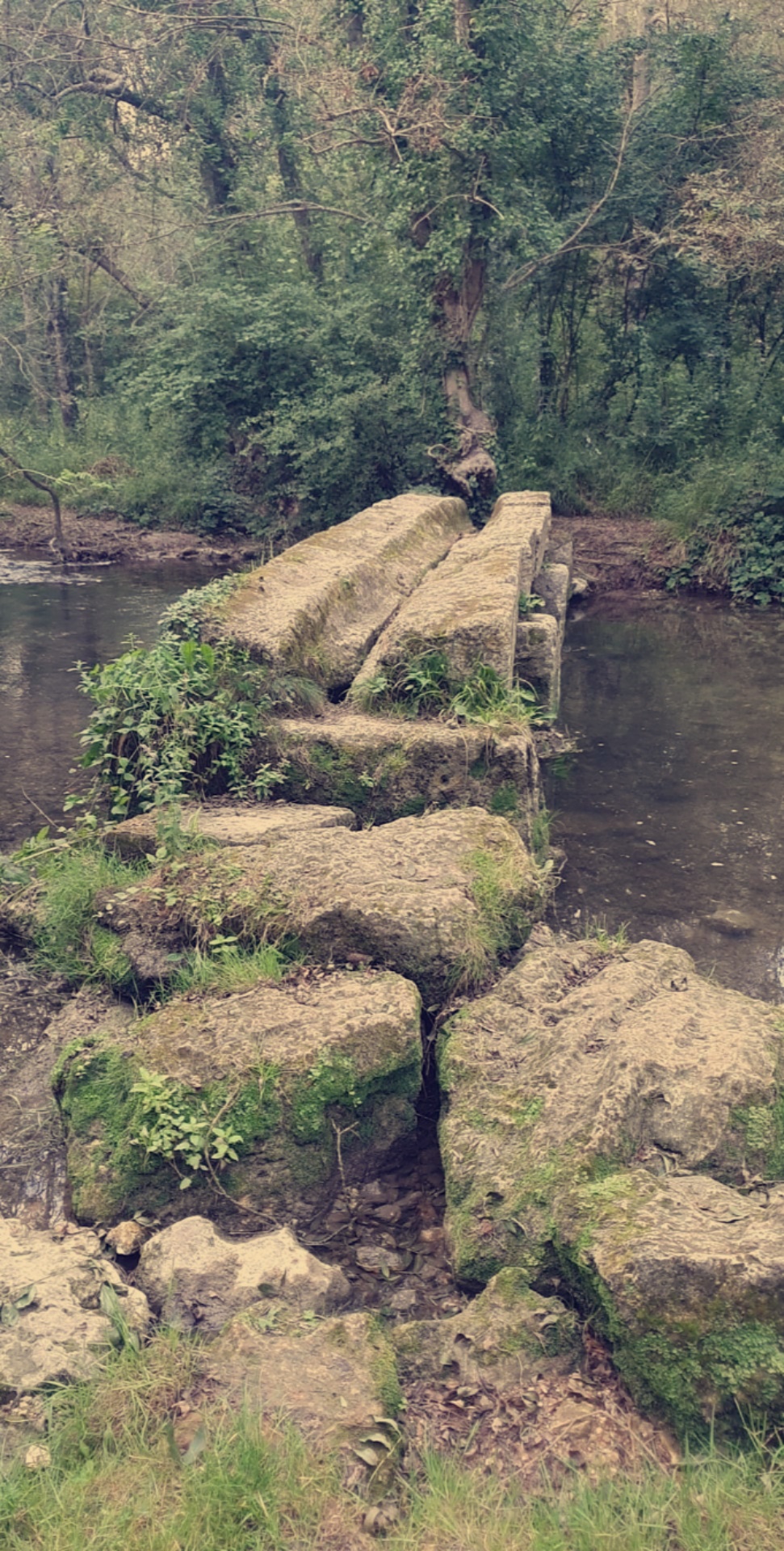 Photo n° 3 de l'avis de Romain.a fait le 12/08/2021 à 18:35