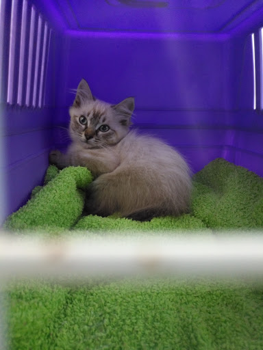 Dogos Centro Veterinario en Pontevedra