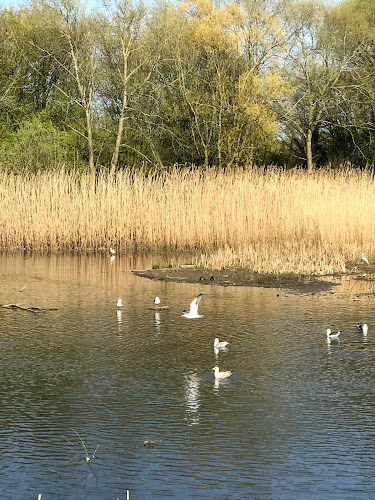 Reviews of Saintbridge Balancing Pond in Gloucester - Other