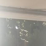 Photo n°2 de l'avis de Michela.a fait le 30/06/2021 à 21:44 sur le  Taverna Paradiso à Prignano sulla Secchia