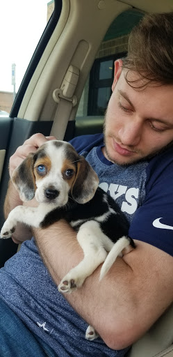 Pet Supply Store «Pet Supplies Plus», reviews and photos, 1616 Precinct Line Rd, Hurst, TX 76054, USA