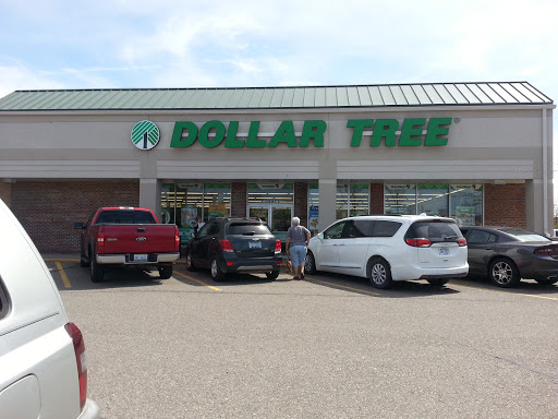 Dollar Store «Dollar Tree», reviews and photos, 8491 Grand River Ave, Brighton, MI 48116, USA