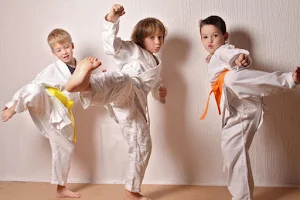 KWF Karate Kyokushin image
