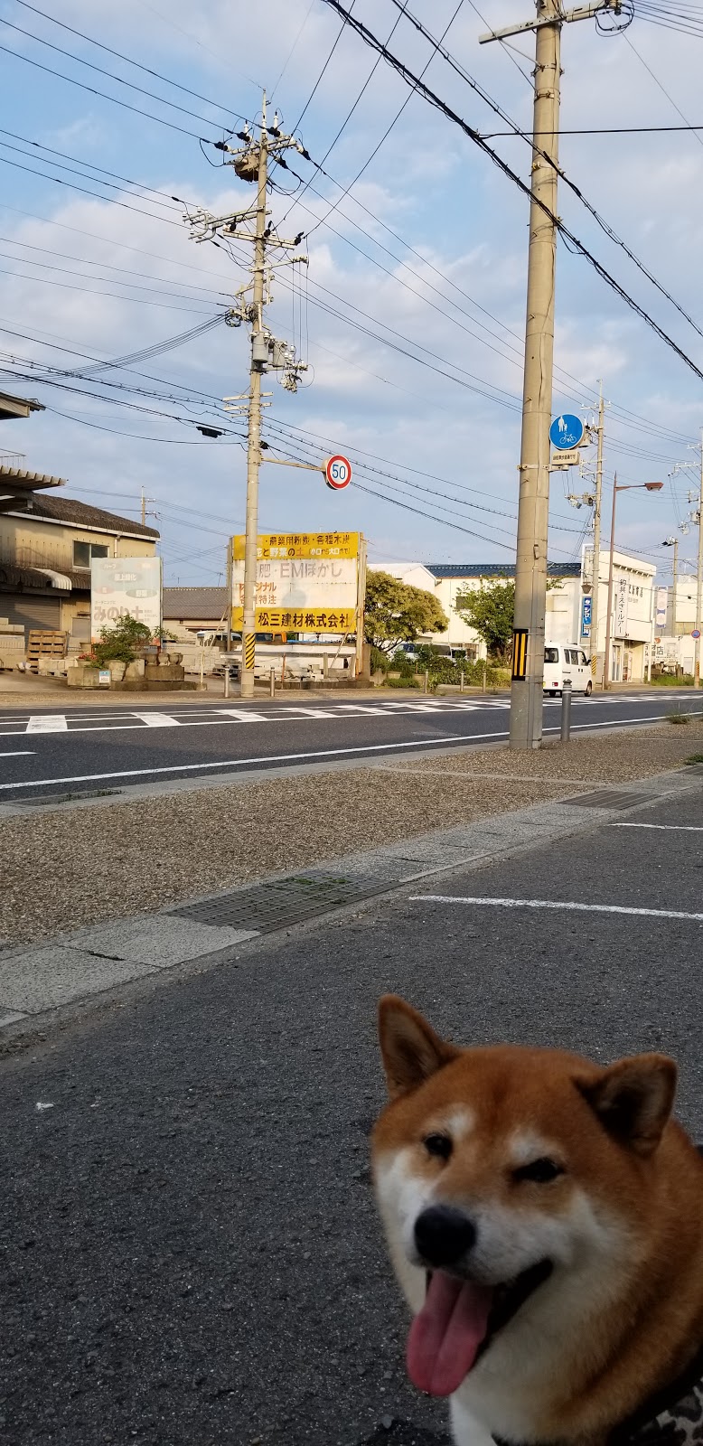 松三建材（株）