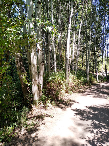 Park «Waterworks Gardens», reviews and photos, Oakesdale Ave SW, Renton, WA 98057, USA