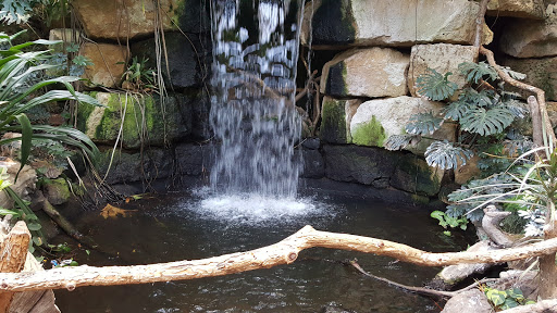 Zoo «Sedgwick County Zoo», reviews and photos, 5555 Zoo Boulevard, Wichita, KS 67212, USA