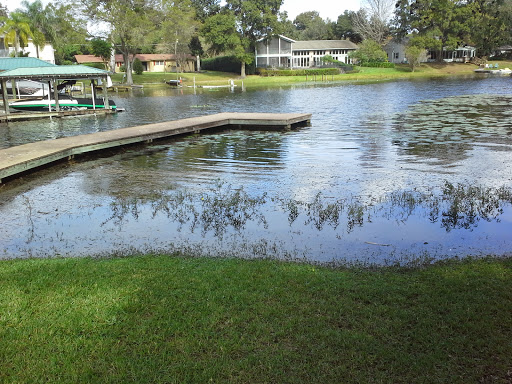 Park «Scotty Cooper Park», reviews and photos, 10849 Carrollwood Dr, Carrollwood, FL 33618, USA