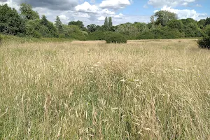 Totteridge Fields image