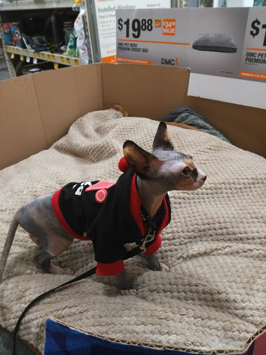 Home Improvement Store «The Home Depot», reviews and photos, 215 SW Home Depot Dr, Lake City, FL 32055, USA