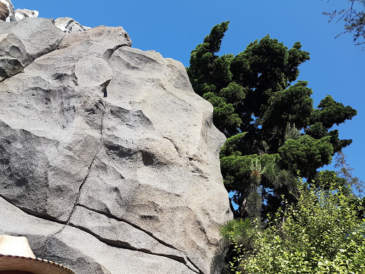 Amusement Park Ride «Matterhorn Bobsleds», reviews and photos, 1313 S Harbor Blvd, Anaheim, CA 92802, USA