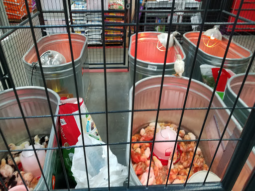 Home Improvement Store «Tractor Supply Co.», reviews and photos, 418 Napa Junction Rd, American Canyon, CA 94503, USA