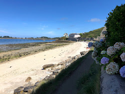 Photo de Anges Beach avec un niveau de propreté de très propre