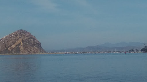 Public Golf Course «Morro Bay Golf Course», reviews and photos, 201 State Park Rd, Morro Bay, CA 93442, USA