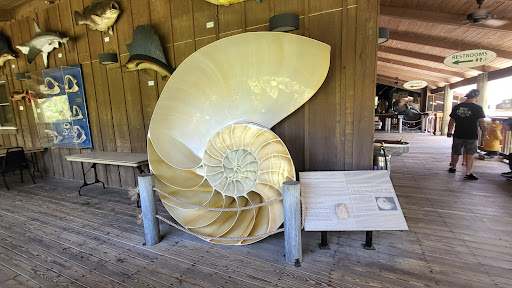 Science Museum «Marine Science Center», reviews and photos, 100 Lighthouse Dr, Ponce Inlet, FL 32127, USA