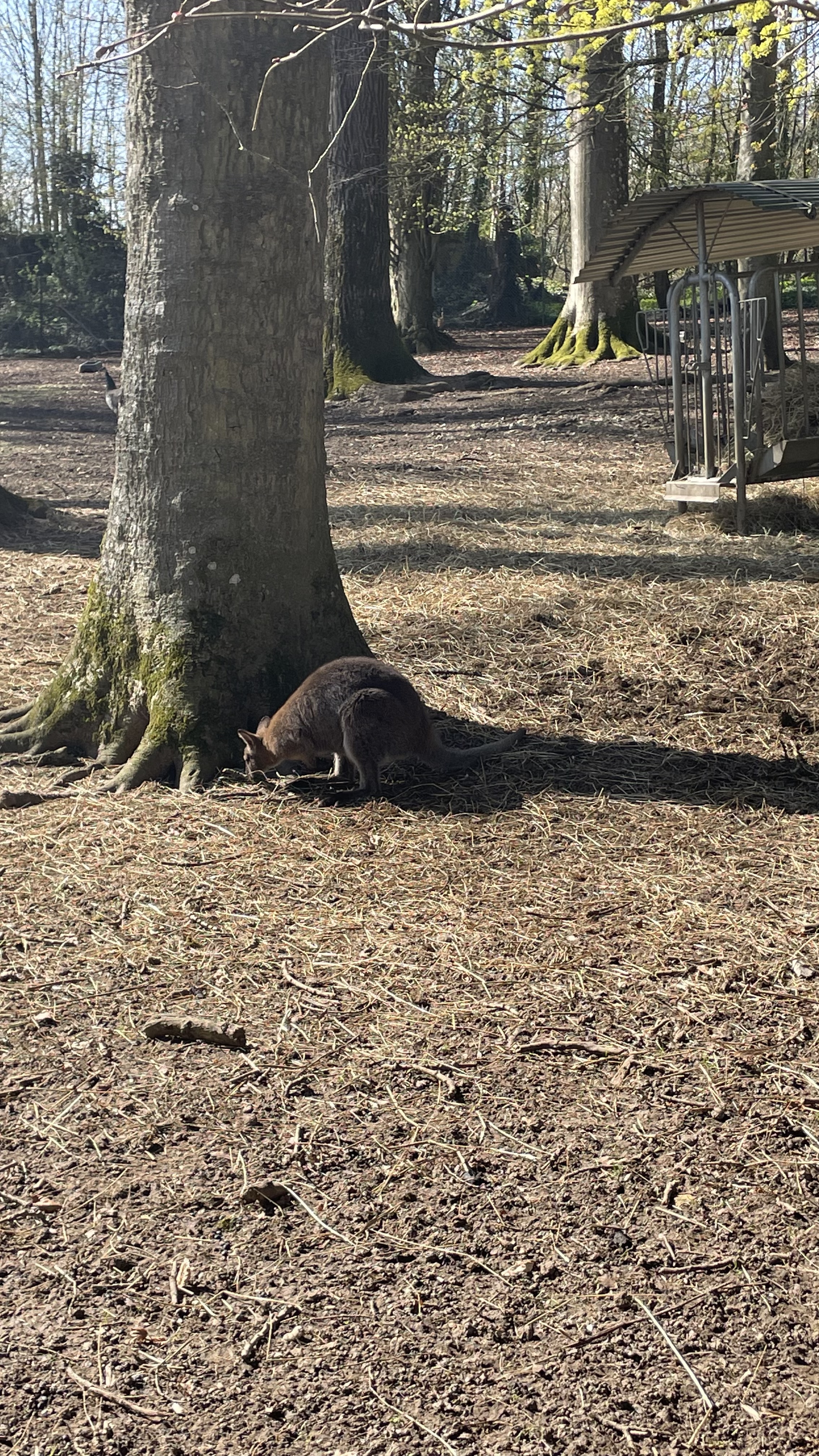 Photo n° 4 de l'avis de Maud.e fait le 16/05/2023 à 12:21