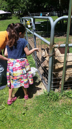 Zoo «The Petting Zoo at Breezeway Farm», reviews and photos, 161 Anawana Lake Road, Monticello, NY 12701, USA
