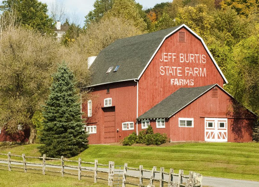 Insurance Agency «State Farm: Jeff Burtis», reviews and photos