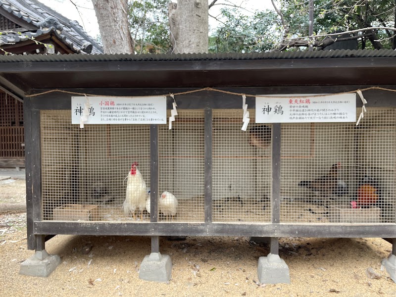 助松神社(助松えびす)