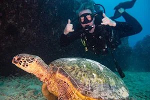Hawaiian Diving Adventures image